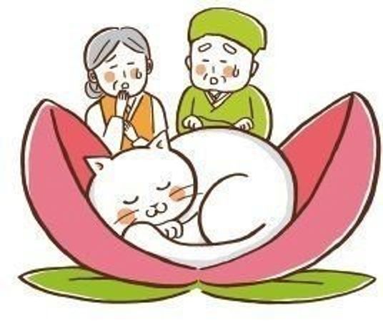 筋書き通りにいかないのが猫行動 もしも猫があの物語の主人公だったら ねこのきもちweb Magazine