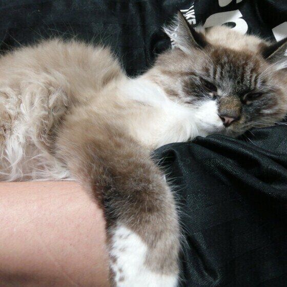 手を離さない熊野ちゃん