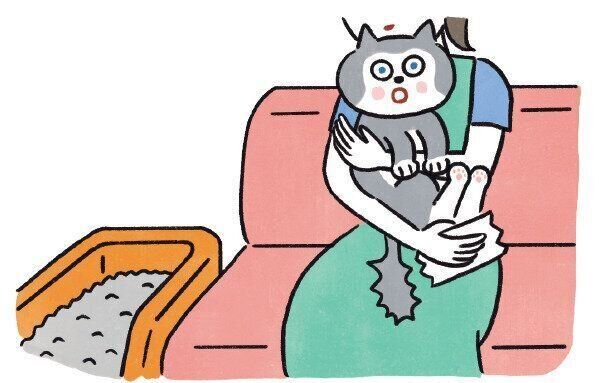 イラスト／ネコポンギポンギ