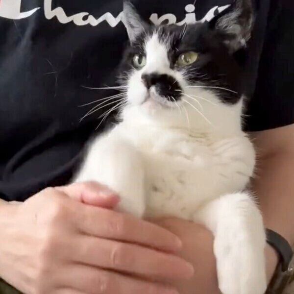 おててないないしたい田中さん vs. 手を出したいドツちゃん