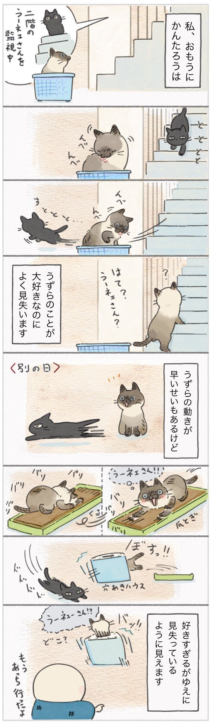 「ねこ連れ草」274話め