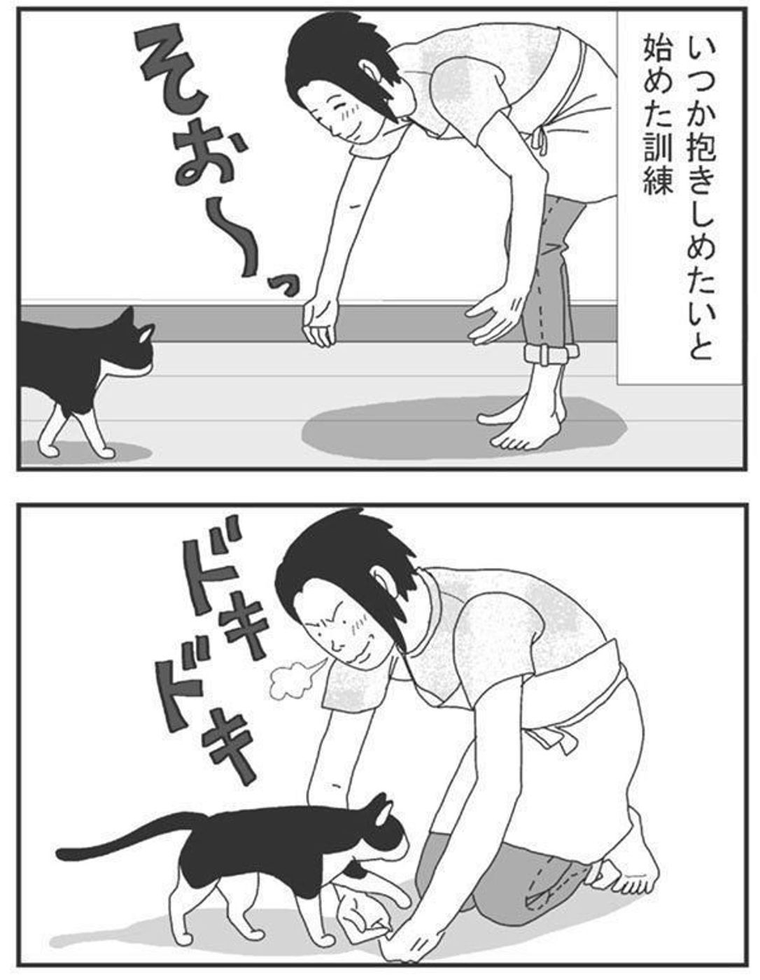 毎日チェックしたくなる おすすめ猫ブログ5選 ねこのきもちweb Magazine