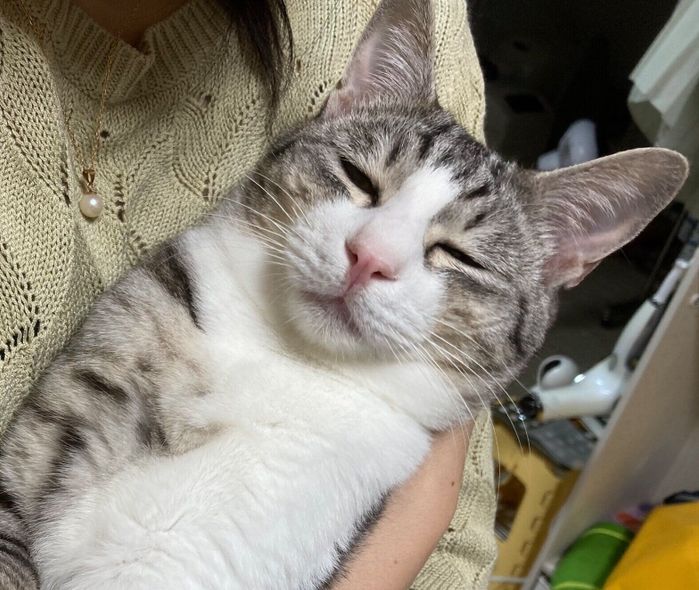 抱っこされると眠ってしまうサバシくん