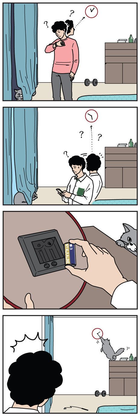 「男の猫道」51輪目