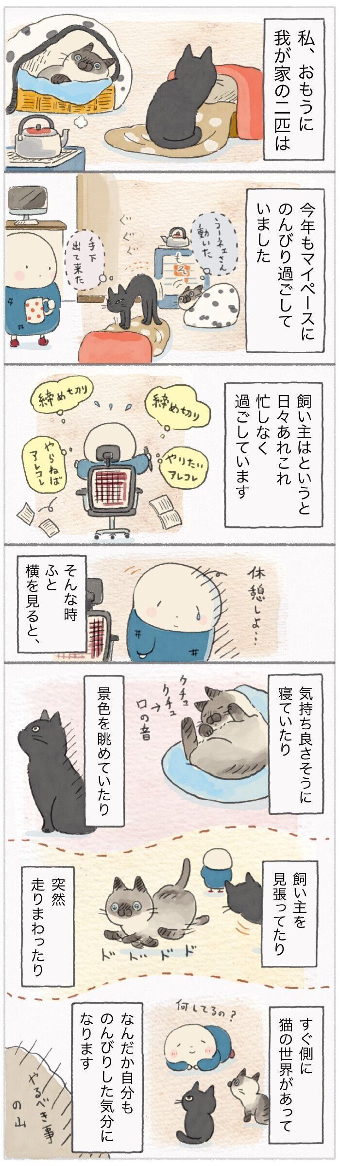 「ねこ連れ草」155話め