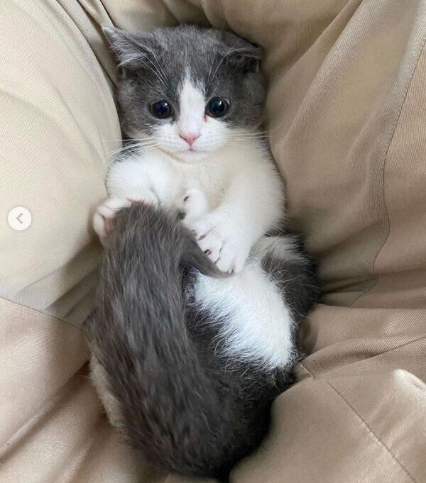 まったりするココタくん