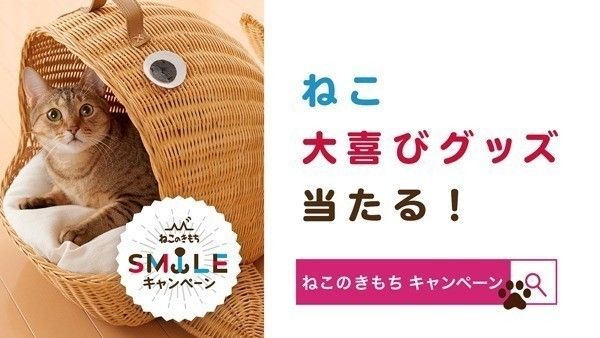 ねこお喜びグッズ当たる！　ねこのきもちCM