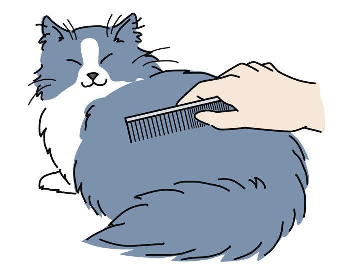 イラスト／chizuru