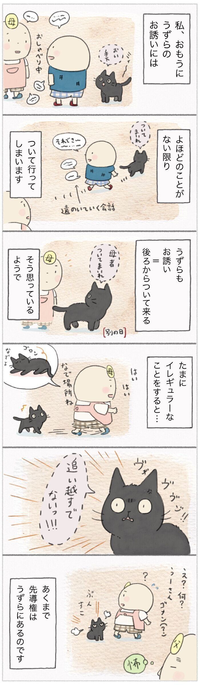 「ねこ連れ草」237話め