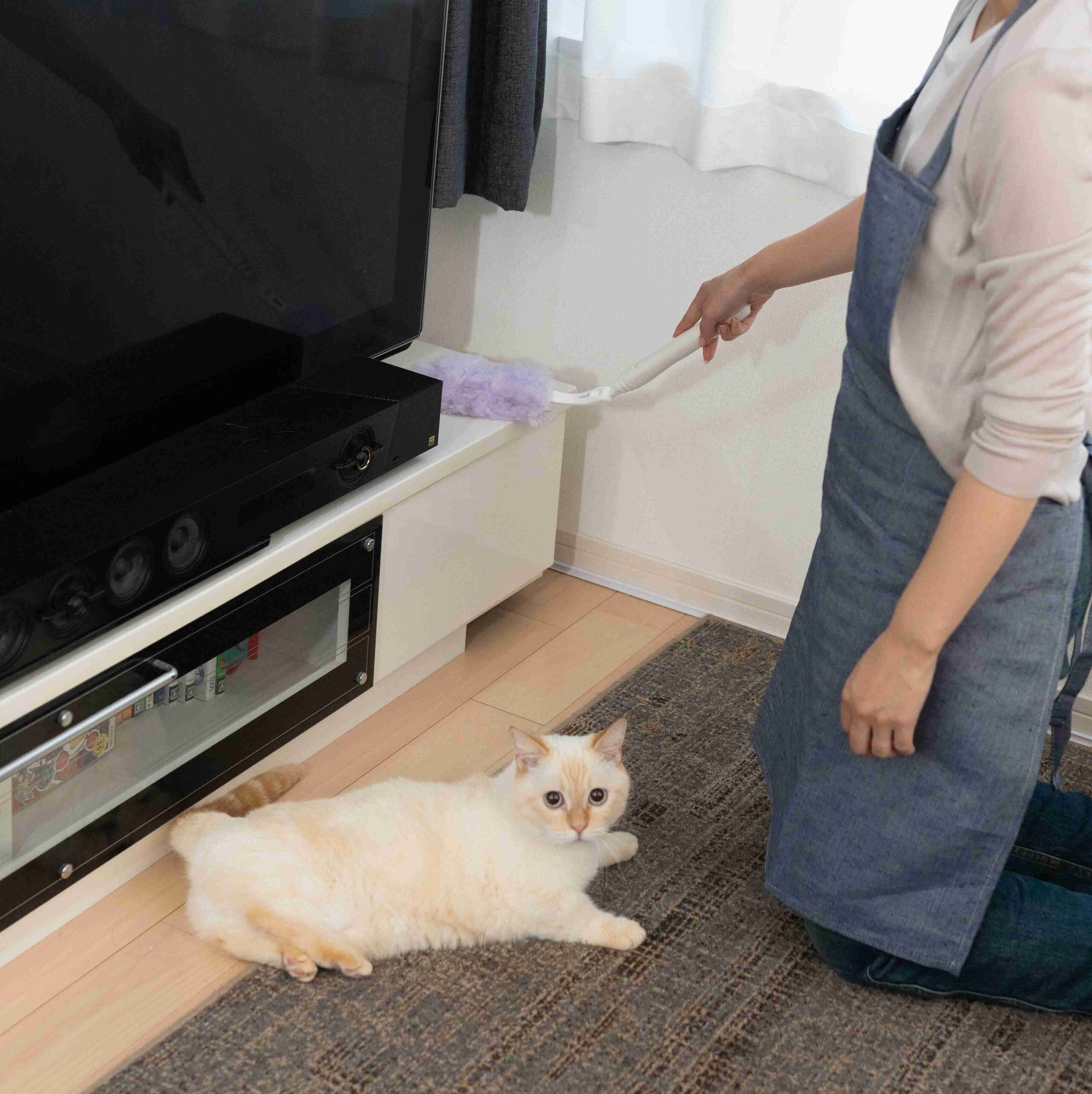 撮影／石原さくら