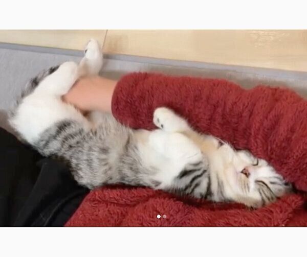 「おばあちゃん」みたいな表情をするふにちゃん