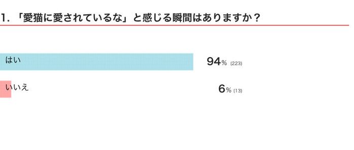 愛猫に愛されていると感じますか?