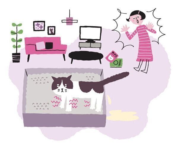 オシッコがハミ出てしまった猫