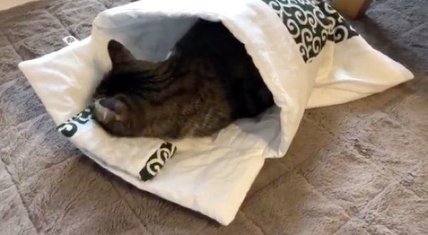 眠るやっちゃん