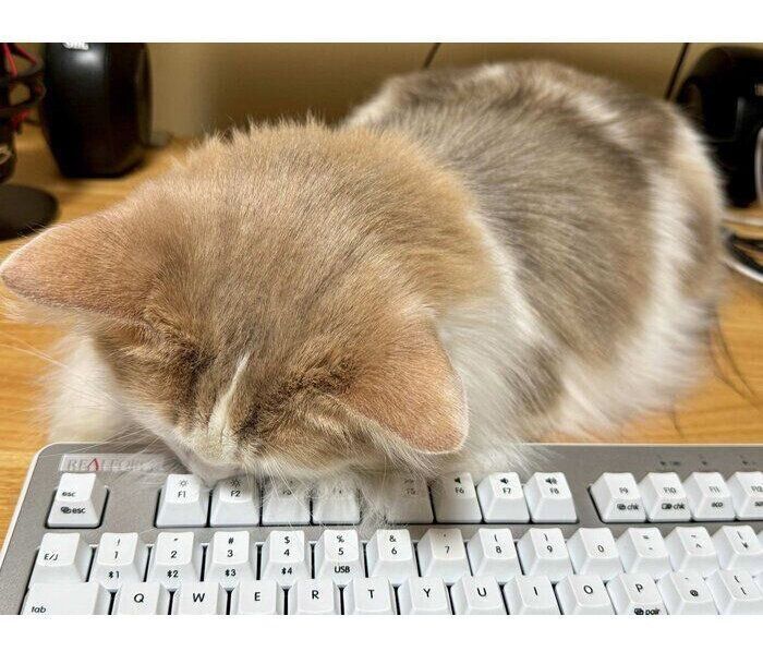 監視中に寝てしまったエドくん