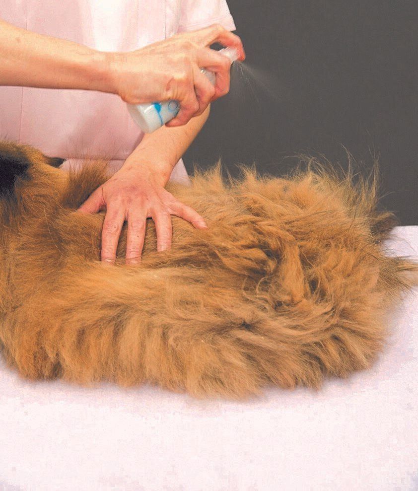 撮影／中川文作