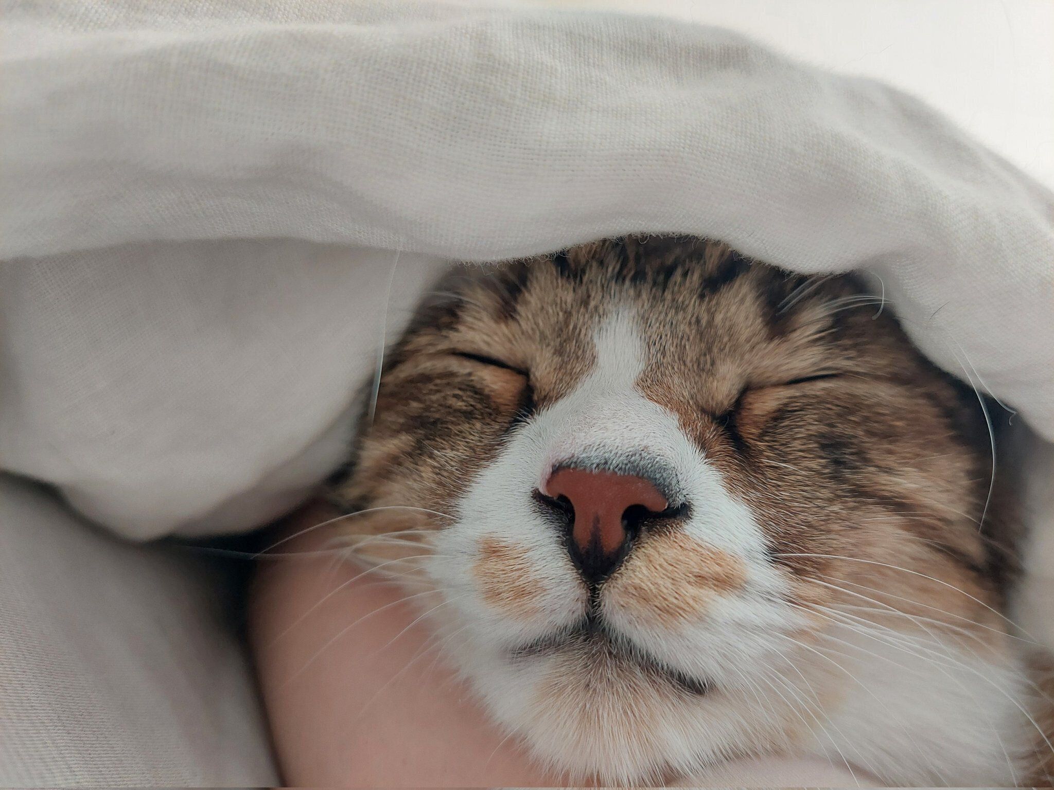 お昼寝をするあさひくん