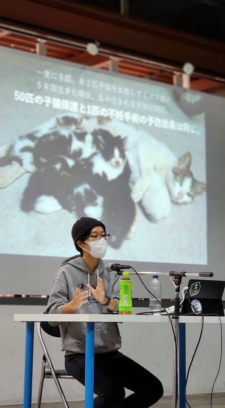 写真提供／猫から目線。