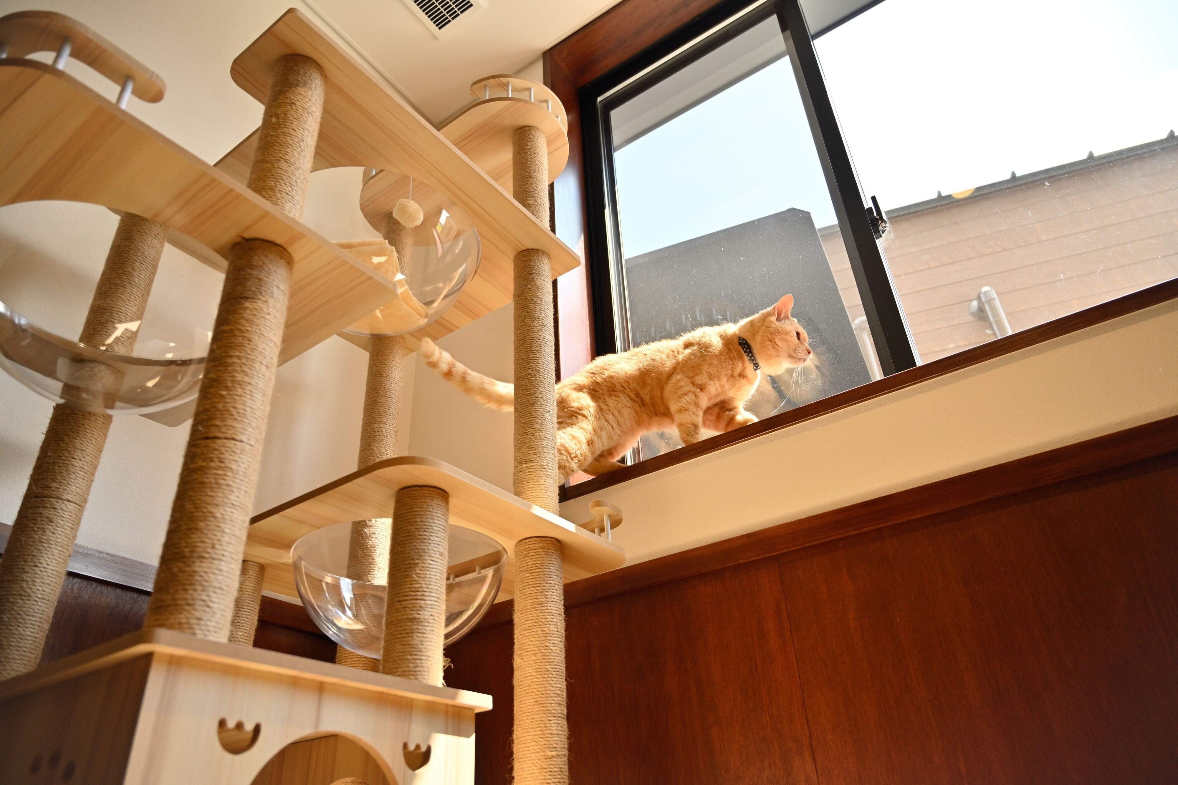 撮影／Akimasa Harada