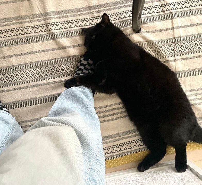 飼い主さんの夫の足にしがみつくたきびくん