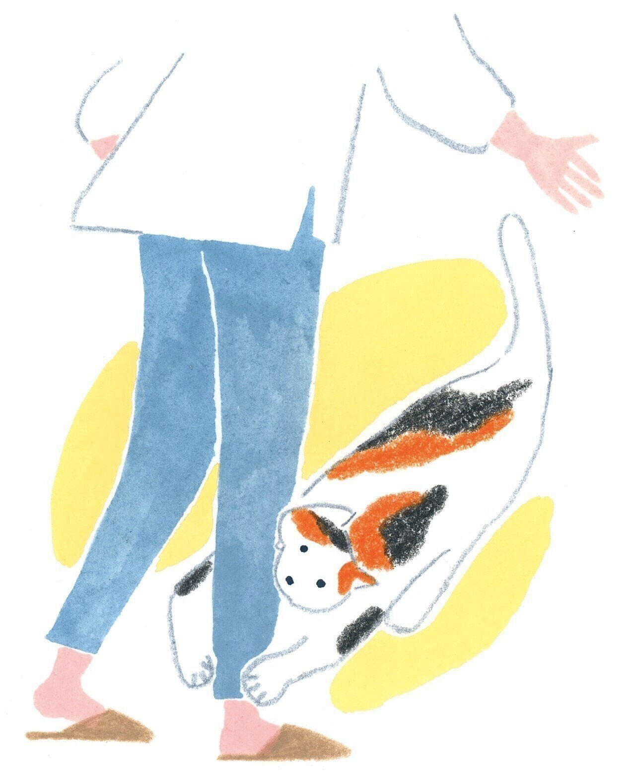 イラスト／カトウナミエ