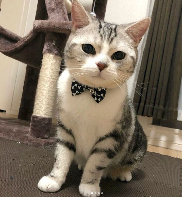 見つめるうたちゃん