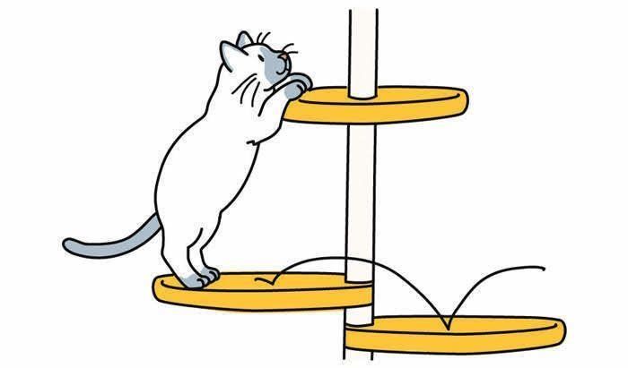 キャットタワーに登る猫