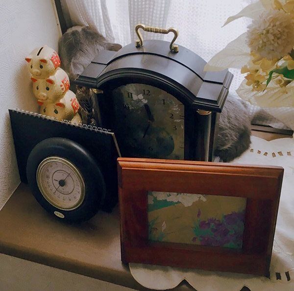 隅っこに隠れるひのでくん