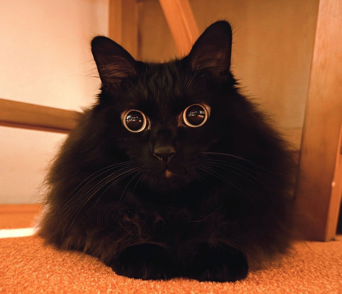 7才になったつきみちゃん