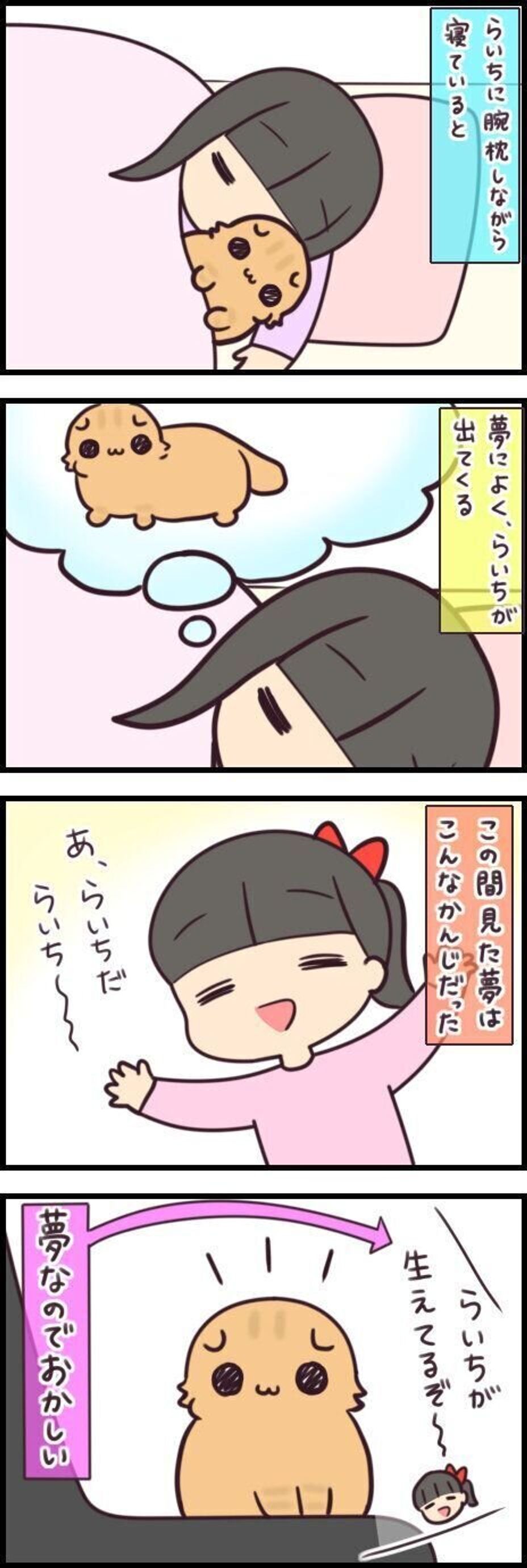 夢に現れた愛猫の増殖 には嬉しい悲鳴しかない 連載 もふもふスコたん 222 ねこのきもちweb Magazine 夢に現れた愛猫の増殖 には嬉しい悲鳴しかない 連載 もふもふスコたん 222 ねこのきもちweb Magazine