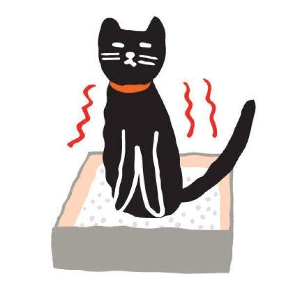 飼い主さんの夜間救急体験記