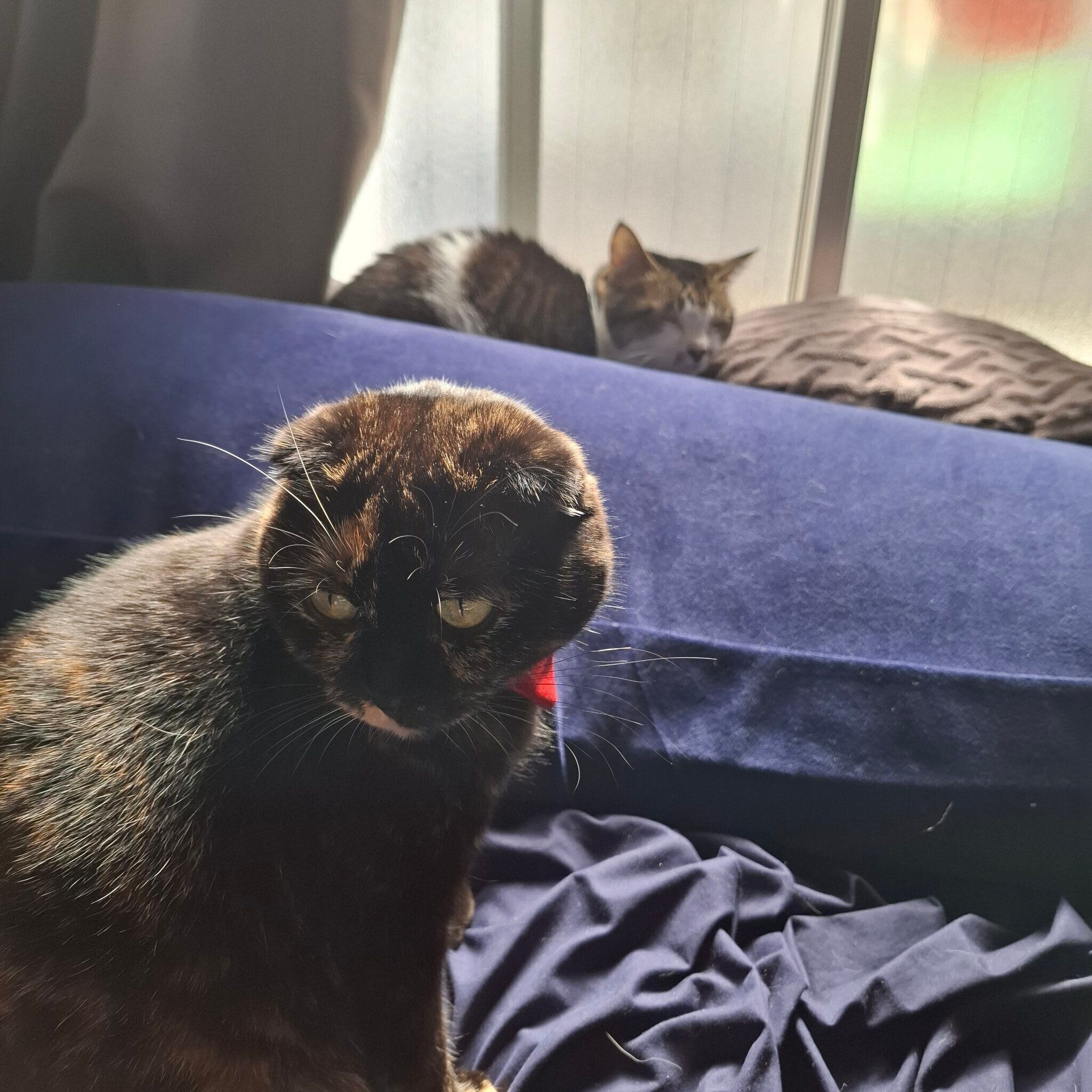 まったりするうなぎちゃん、ちゃちゃちゃん