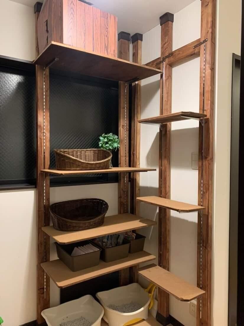 棚いっぱいの猫タワー