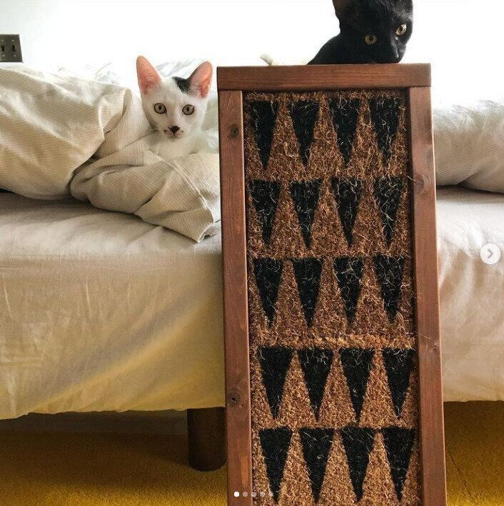 兄弟猫とオシャレな爪とぎ