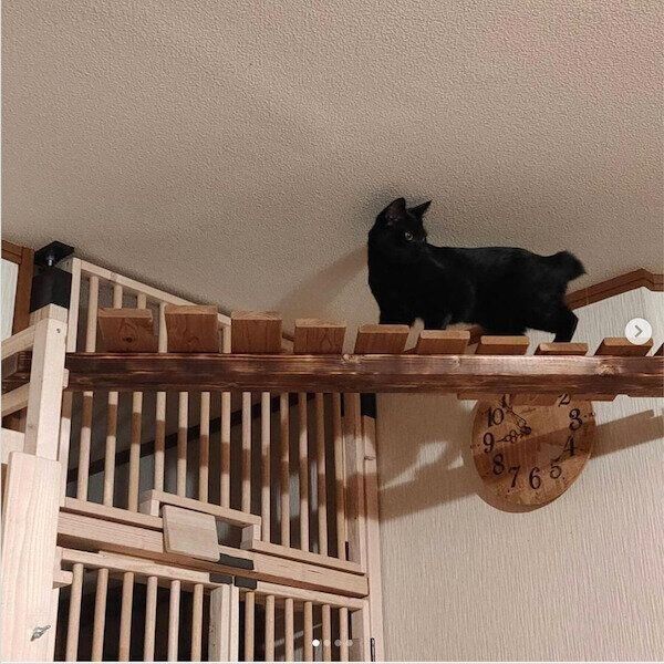 DIYキャットウォーク