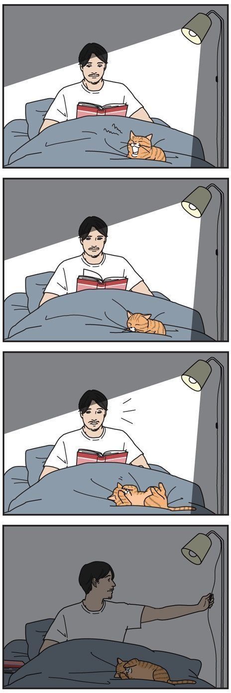 男の猫道