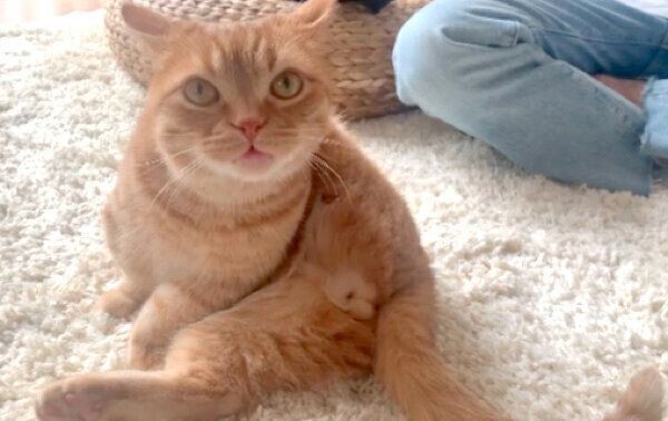 「クサ顔」が可愛いうにちゃん