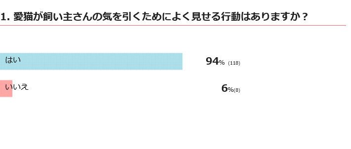 猫が気を引くためによく見せる行動はある？
