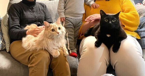 ベルちゃんと鈴ちゃん