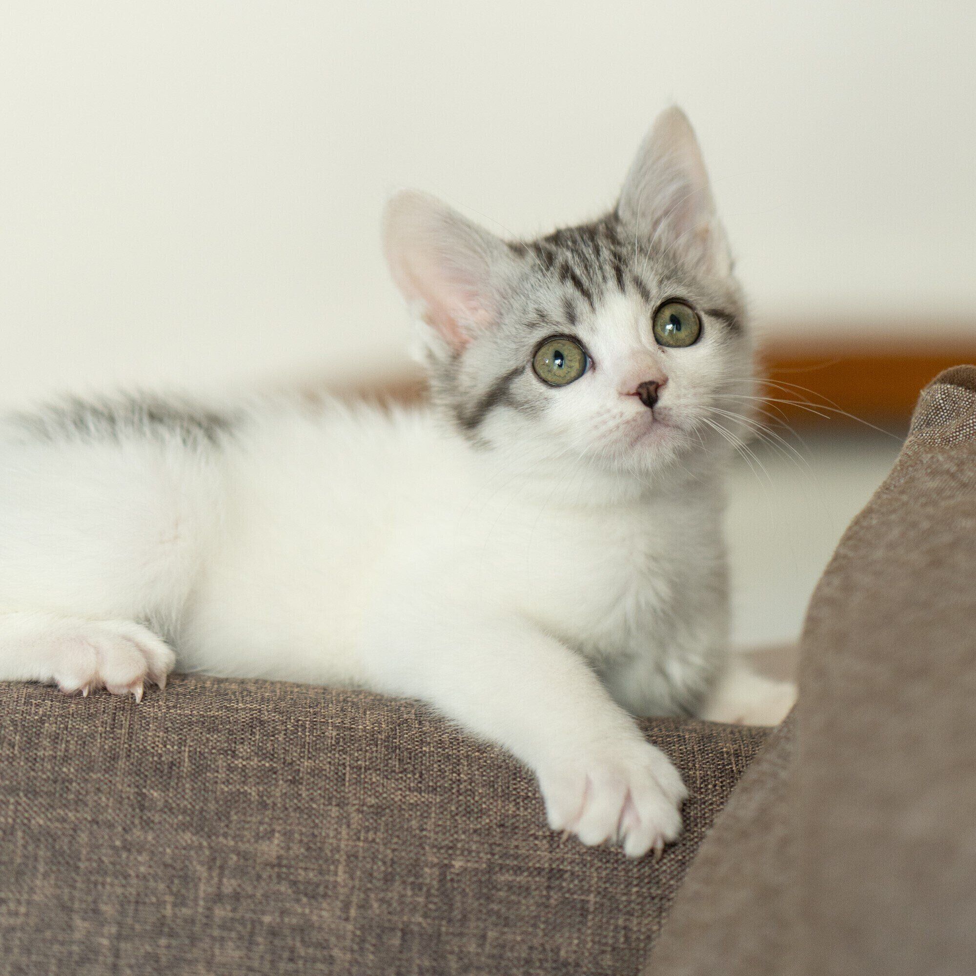 撮影／石原さくら