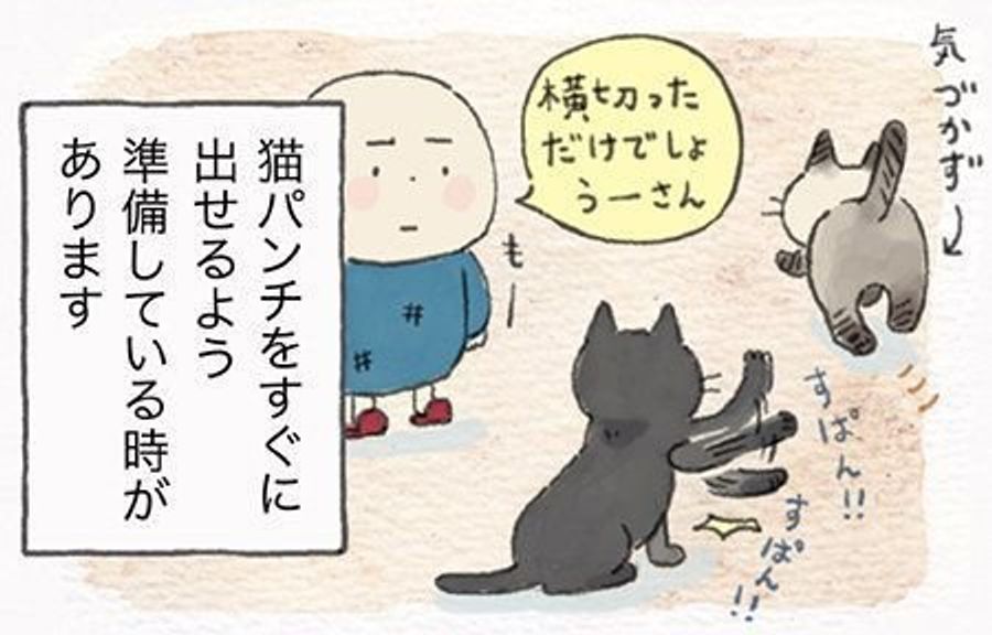 猫がこだわるパーソナルスペース 距離感を間違えると高速パンチが ねこ連れ草 109話め ねこのきもちweb Magazine 猫がこだわるパーソナルスペース 距離感を間違えると高速パンチが ねこ連れ草 109話め ねこのきもちweb Magazine
