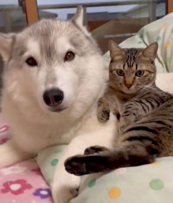 仲良しなサンくんとユキちゃん