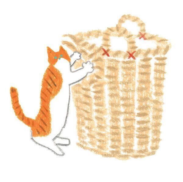 爪とぎをする猫