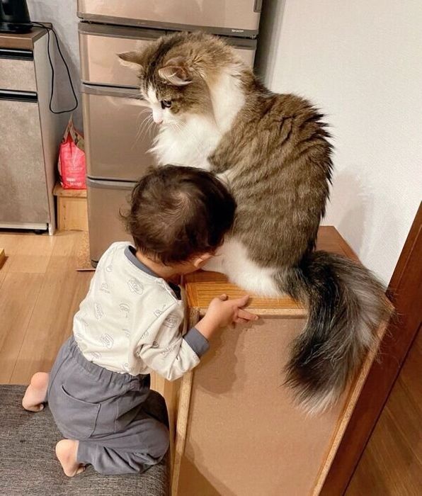 シィクくんと弟くん