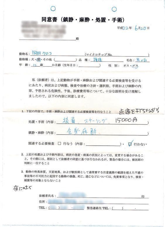 画像／2019年７月号『猫の病気、そこが知りたい！』