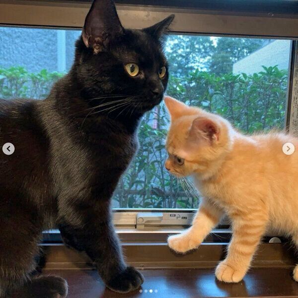 空ちゃんと天くん