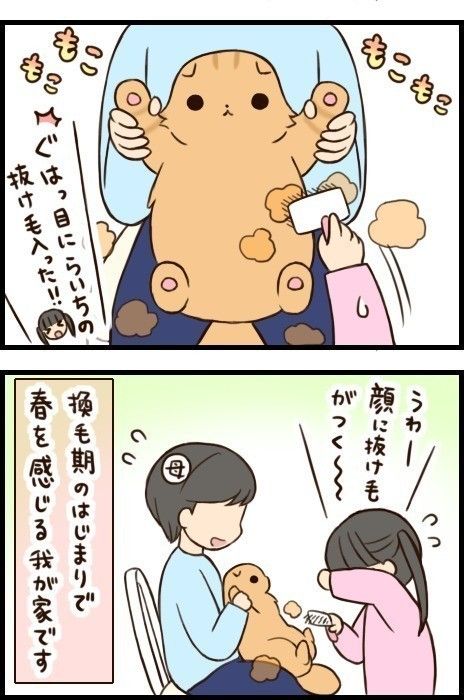 「もふもふスコたん」21話目