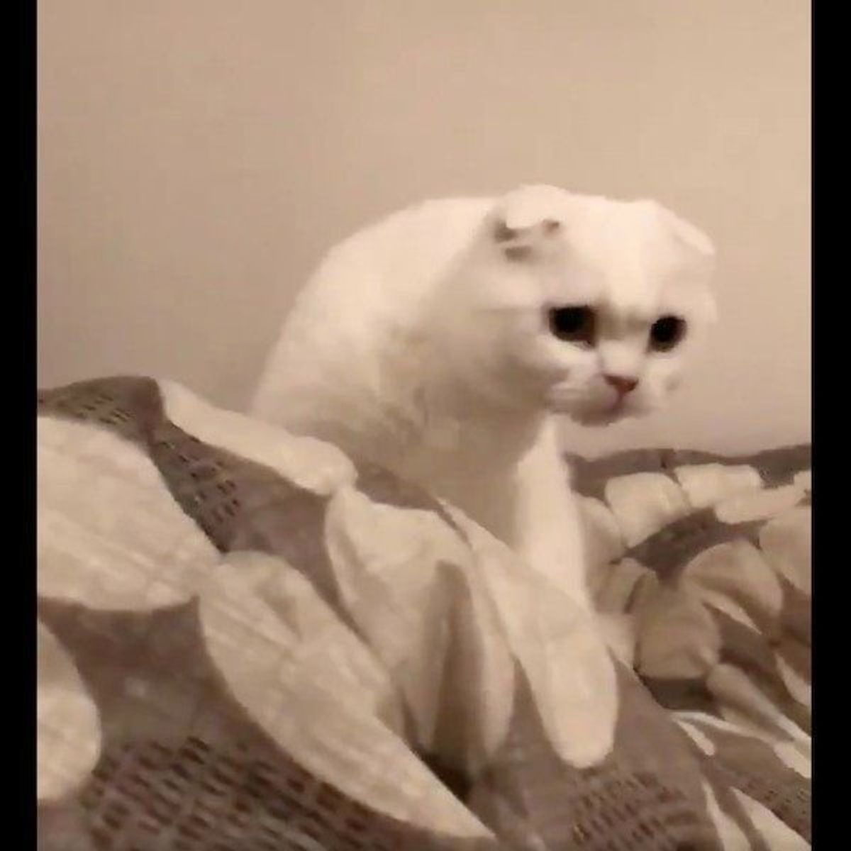 C8xn8f2pgl9qkm C8xn8f2pgl9qkm