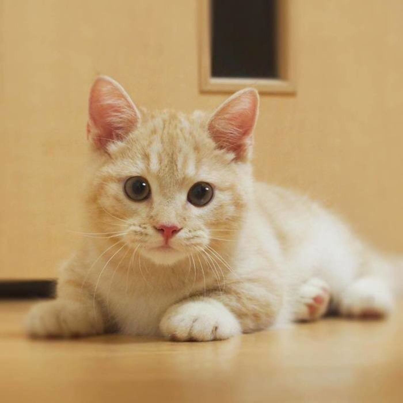 Wujweuetj3rm4m Wujweuetj3rm4m