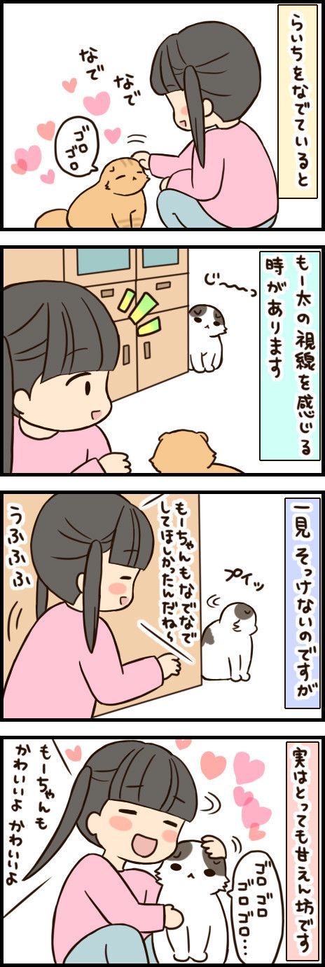 「もふもふスコたん」39話目